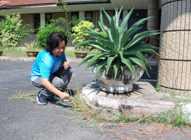 ร่วมกิจกรรม “big cleaning day” และออกกำลังกายเพื่อสุขภาพ พารามิเตอร์รูปภาพ 2