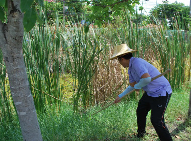 ร่วมกิจกรรม “big cleaning day” และออกกำลังกายเพื่อสุขภาพ พารามิเตอร์รูปภาพ 6