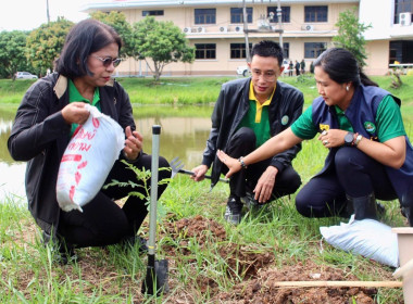 ร่วมกิจกรรม “วันต้นไม้ประจำปีของชาติ พ.ศ. 2567” พารามิเตอร์รูปภาพ 4