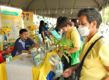 โครงการคลินิกเกษตรเคลื่อนที่ในพระราชานุเคราะห์ พารามิเตอร์รูปภาพ 13