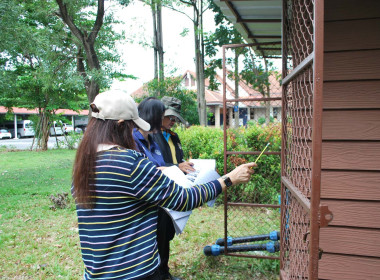 ลงพื้นที่เพื่อตรวจสอบข้อเท็จจริง ... พารามิเตอร์รูปภาพ 16
