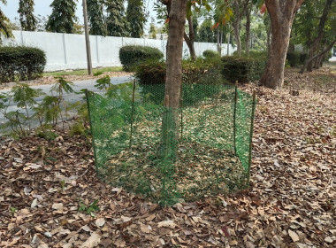 ร่วมกันจัดกิจกรรม เสริมสร้างสมดุลชีวิตคนทำงาน และ “Big ... พารามิเตอร์รูปภาพ 14