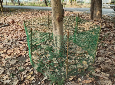 ร่วมกันจัดกิจกรรม เสริมสร้างสมดุลชีวิตคนทำงาน และ “Big ... พารามิเตอร์รูปภาพ 15