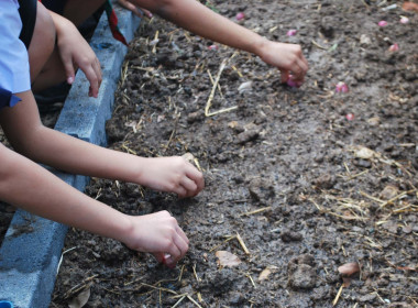 วิทยากรกิจกรรมเข้าค่ายลูกเสือ-เนตรนารี สำรอง ... พารามิเตอร์รูปภาพ 42