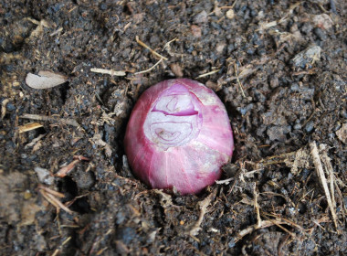 วิทยากรกิจกรรมเข้าค่ายลูกเสือ-เนตรนารี สำรอง ... พารามิเตอร์รูปภาพ 44