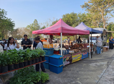 โครงการคลินิกเกษตรเคลื่อนที่ในพระราชานุเคราะห์ ... พารามิเตอร์รูปภาพ 9