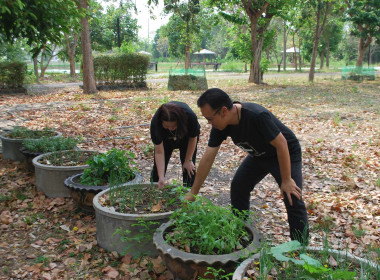 โครงการเสริมสร้างสมดุลชีวิตคนทำงานประจำปี 2569 ... พารามิเตอร์รูปภาพ 11