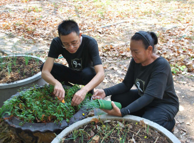 โครงการเสริมสร้างสมดุลชีวิตคนทำงานประจำปี 2569 ... พารามิเตอร์รูปภาพ 13