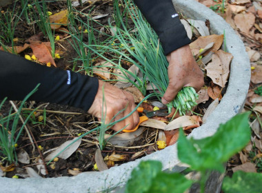 โครงการเสริมสร้างสมดุลชีวิตคนทำงานประจำปี 2569 ... พารามิเตอร์รูปภาพ 15