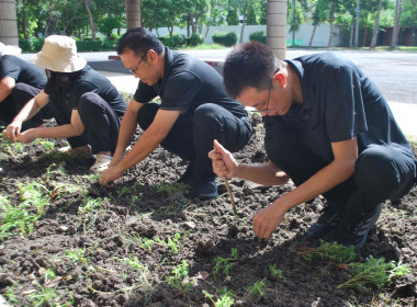 ดำเนินกิจกรรมตามโครงการเสริมสร้างสมดุลชีวิตคนทำงานประจำปี ... พารามิเตอร์รูปภาพ 8