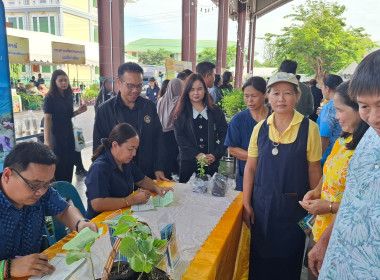 โครงการคลินิกเกษตรเคลื่อนที่ในพระราชานุเคราะห์ พารามิเตอร์รูปภาพ 9